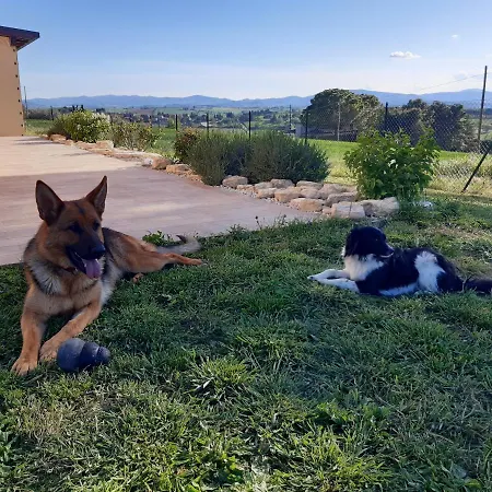 Appartamento Il Casale Del Trebbio Pila (Umbria)